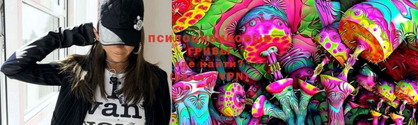 МДПВ Киреевск