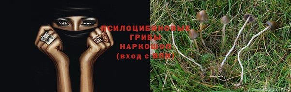 кокаин колумбия Кинешма